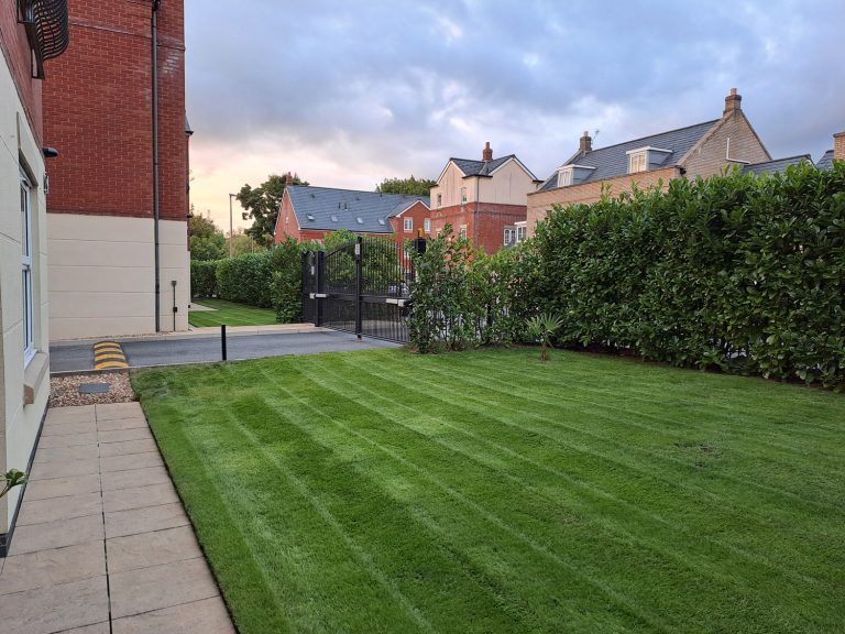 Green communal grounds at Kings Park in Leigh